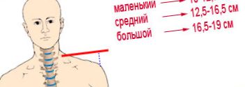 Ortopéd párnák, hogyan válasszuk ki a megfelelő opciót Hátsó párna