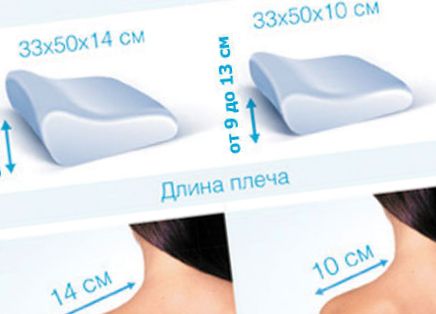Ortopéd párnák, hogyan válasszuk ki a megfelelő opciót Párna méretek